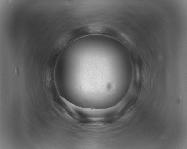 X0000067890215200604131337