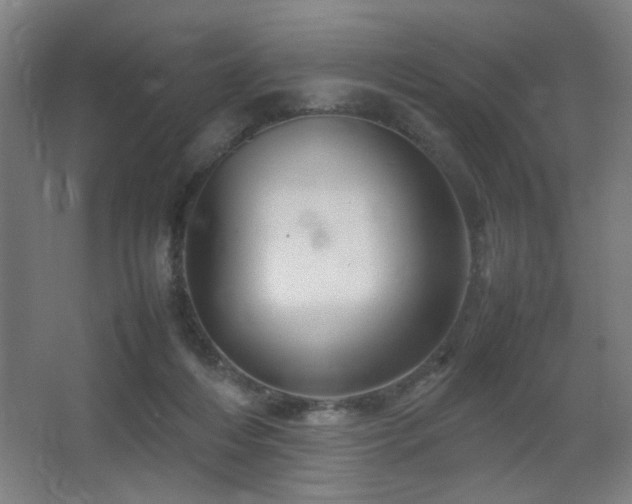 X0000067890216200604131337