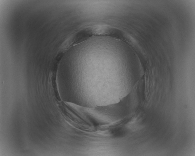 X0000067890217200604131337