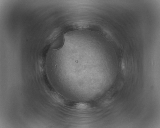 X0000067890218200604131337