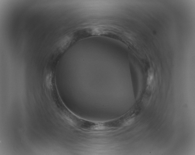 X0000067890219200604131337