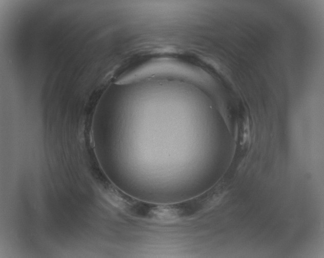 X0000067890221200604131337