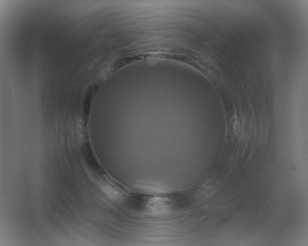 X0000067890222200604131337