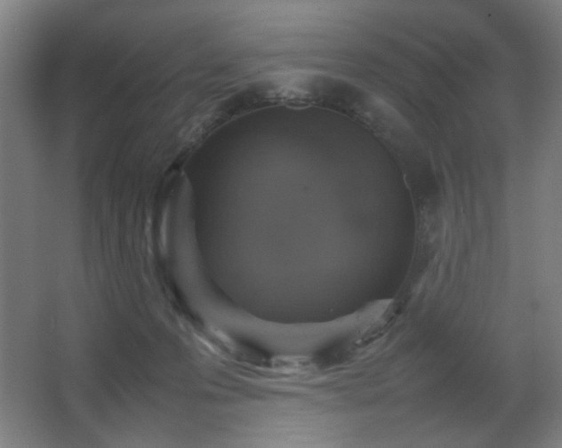 X0000067890223200604131337