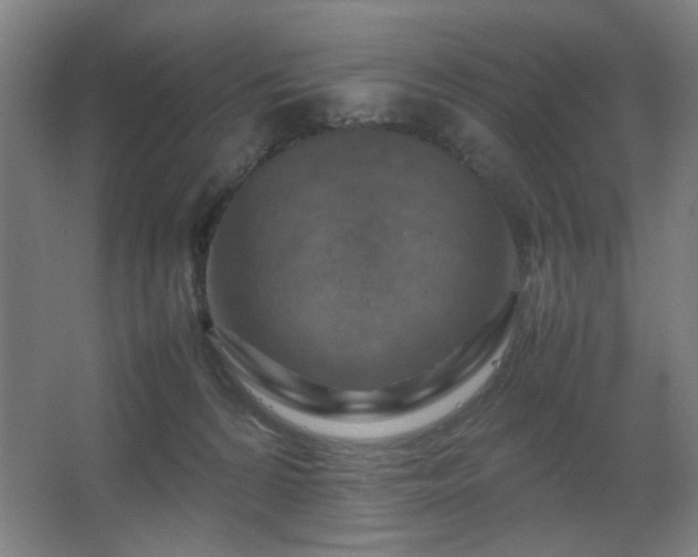 X0000067890224200604131337