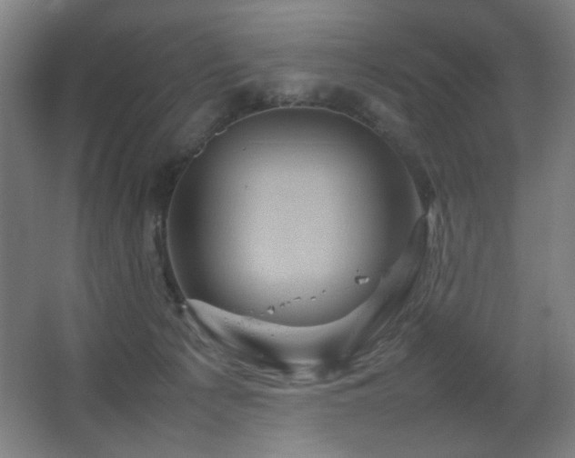 X0000067890225200604131337