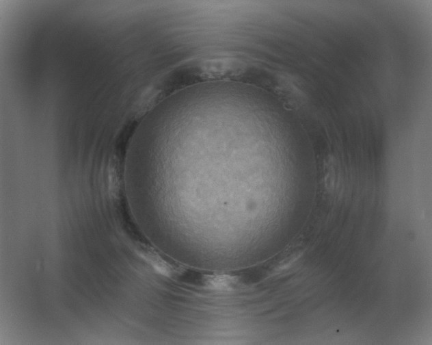 X0000067890226200604131337