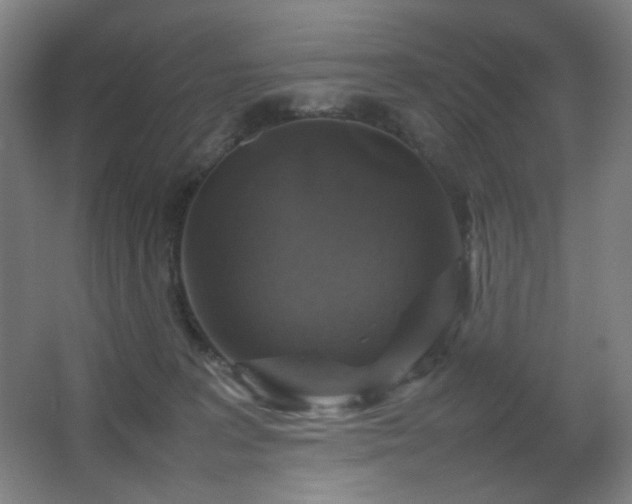 X0000067890227200604131337