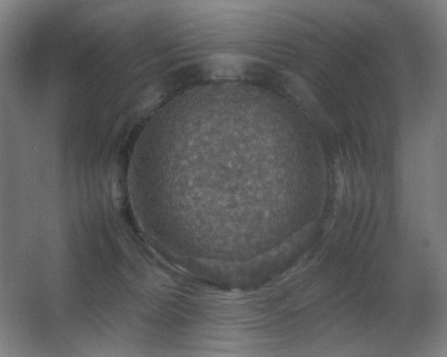 X0000067890228200604131336