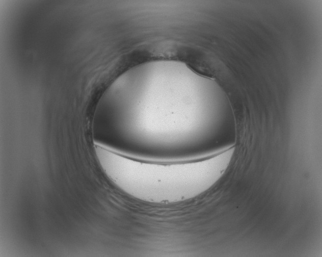 X0000067890229200604131336