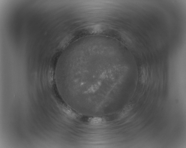 X0000067890230200604131336