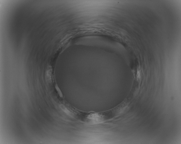 X0000067890231200604131336