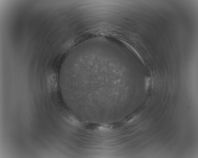 X0000067890232200604131336