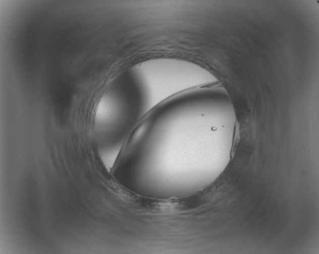 X0000067890233200604131336