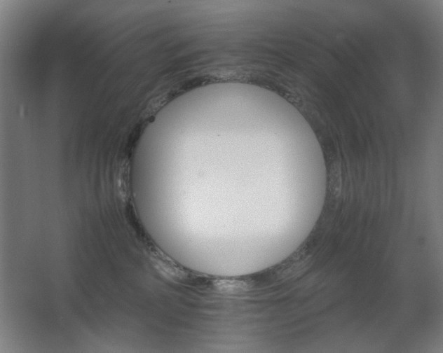 X0000067890234200604131336