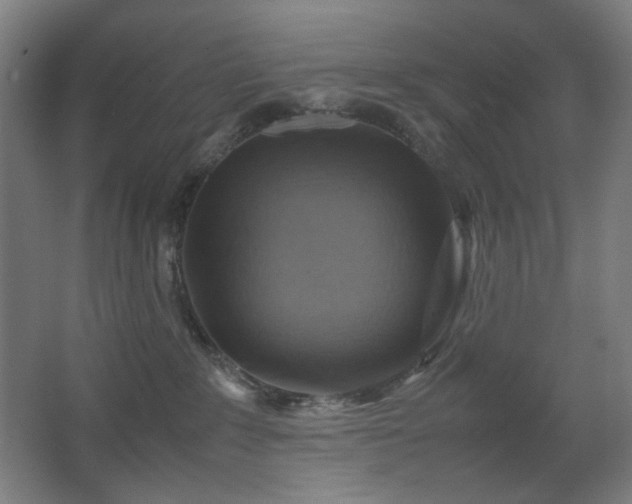 X0000067890235200604131336