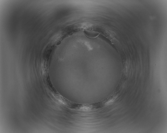 X0000067890236200604131336