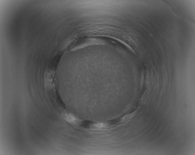 X0000067890237200604131336