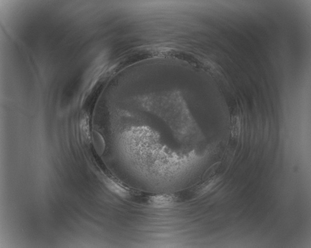 X0000067890238200604131336