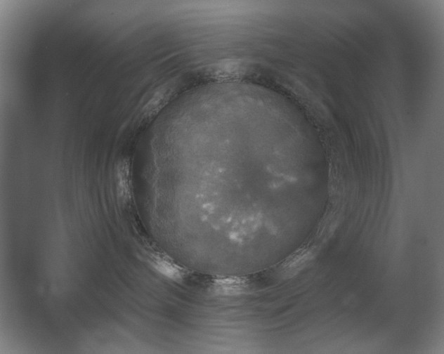 X0000067890240200604131336