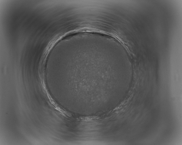 X0000067890241200604131335