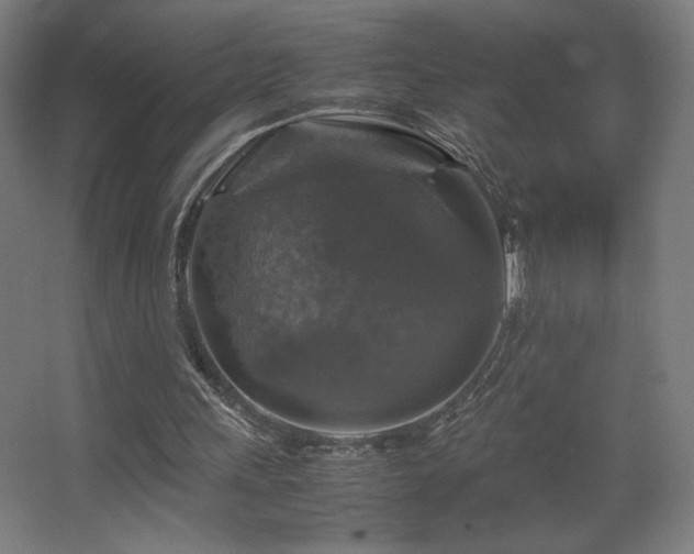 X0000067890243200604131336