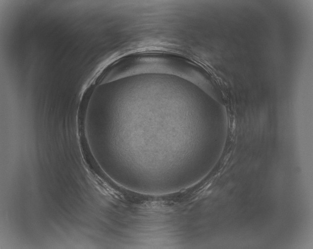 X0000067890244200604131336