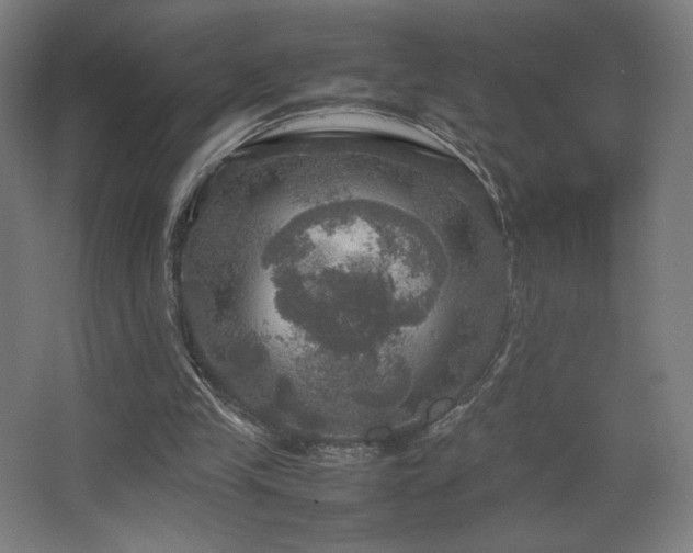 X0000067890245200604131336