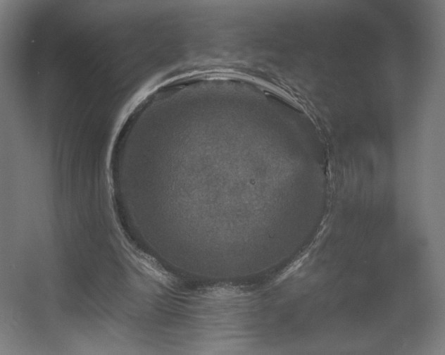 X0000067890246200604131336