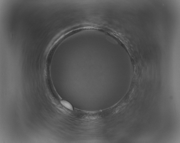 X0000067890247200604131336