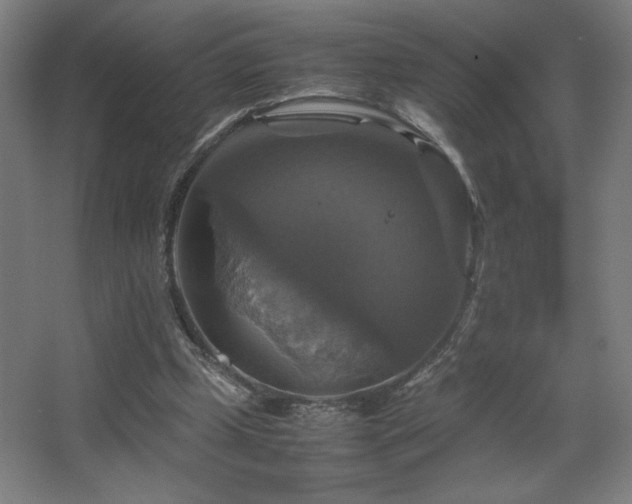 X0000067890249200604131336