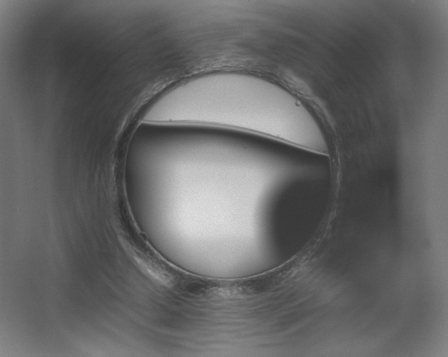 X0000067890250200604131336