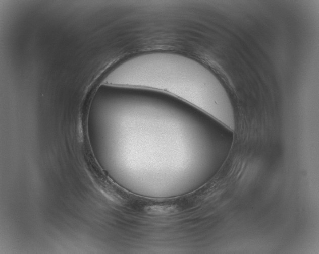 X0000067890251200604131336