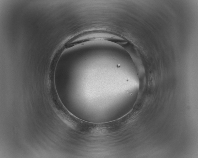 X0000067890252200604131336