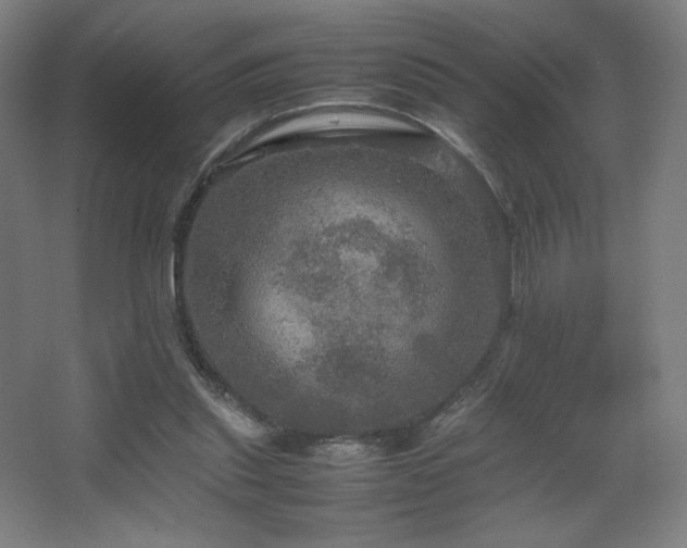 X0000067890253200604131336