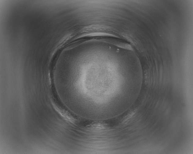 X0000067890254200604131336