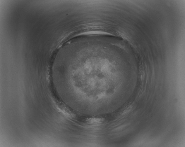 X0000067890255200604131336