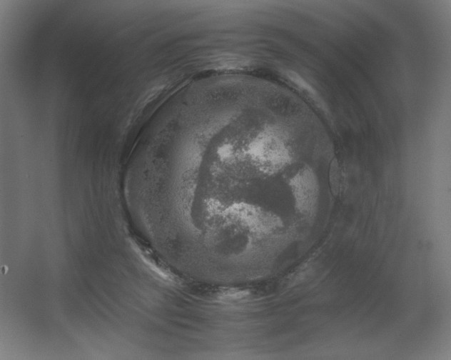 X0000067890257200604131336