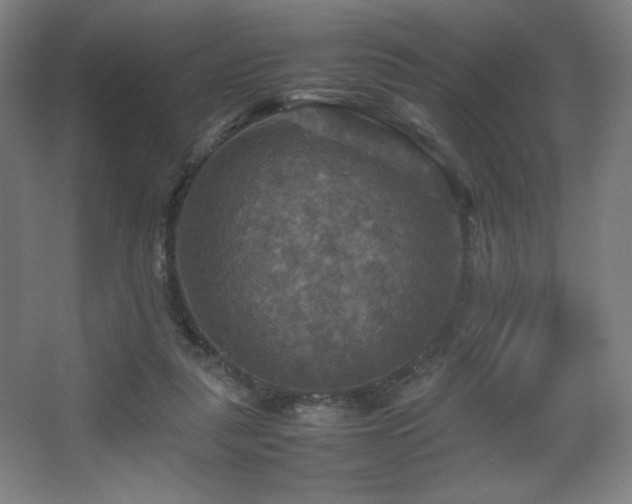 X0000067890259200604131336