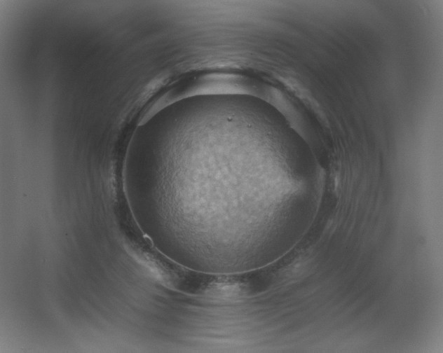 X0000067890260200604131336