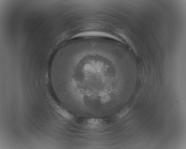 X0000067890261200604131336