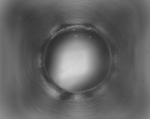 X0000067890264200604131336