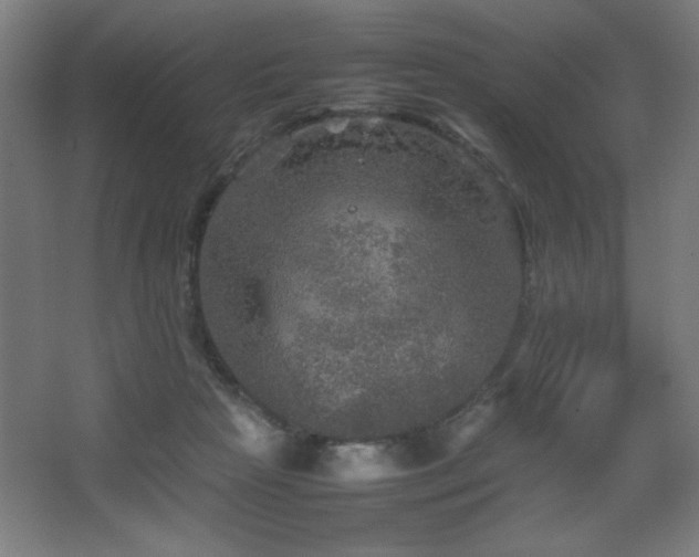 X0000067890265200604131336