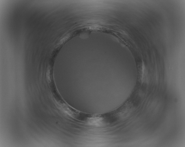 X0000067890266200604131336