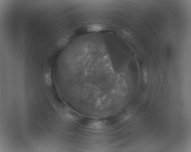 X0000067890267200604131336