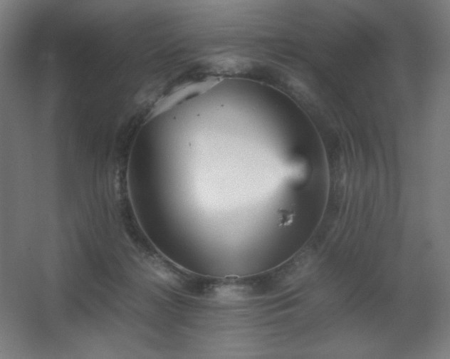 X0000067890268200604131336