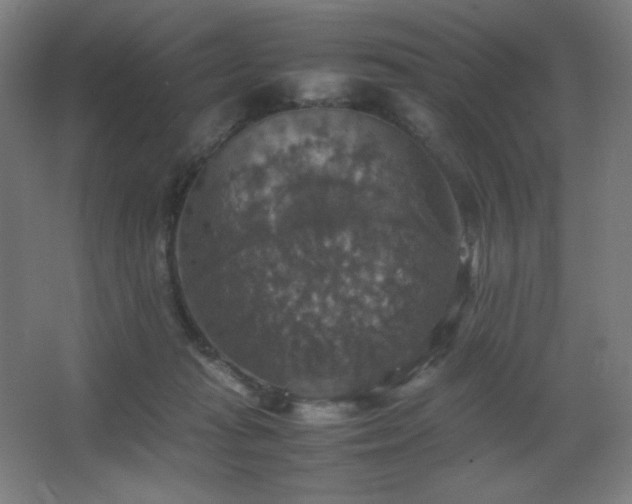 X0000067890269200604131336