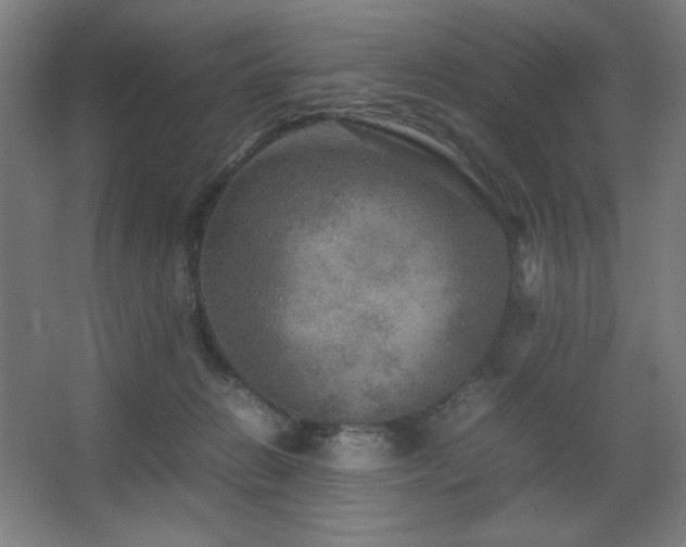 X0000067890270200604131336