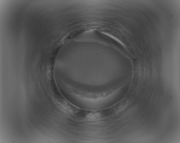 X0000067890271200604131336