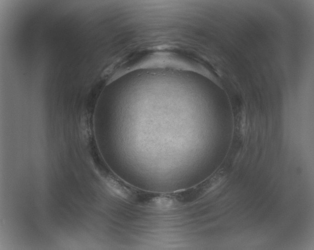 X0000067890272200604131336